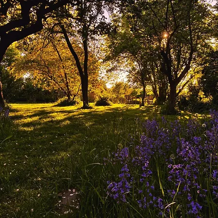 Makrele Von 1877 Lejlighed Stahlbrode