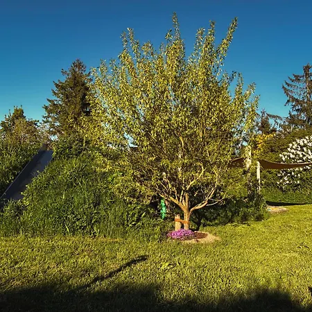 Makrele Von 1877 Appartement Stahlbrode