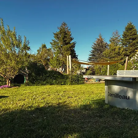 Makrele Von 1877 * Stahlbrode